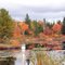 Canadian Autumn scenery , close Nestor Falls (Sioux Narrows) Ontario !!Trans Canada Hwy  .