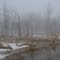 Late Winter Thaw