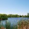 Pond in Penner Park, Steinbach