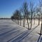 Winter Afternoon