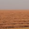 Prairies Of Gold After Harvest North Of Swift Current SK Sep '13