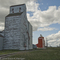 Two wooden Grain Elevators at Davidson, Saskatchewan