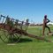 Metis Fiddler and Oxcart, Davidson