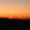 Sunset over the Dunes