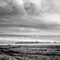 Field In Infrared