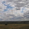 Land of Living Skies - Puffy White Clouds Along the South Saskatchewan River