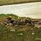 Rock Home, Cambridge Bay