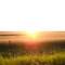Sunset Max Exposure