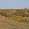 Gassman Coulee, west of Minot