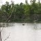 After the flood.