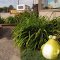 A Goofy Frog At The Storefront In Ignace ON Sep '13