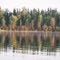 Dore Lake Saskatchewan, Boreal forest