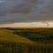 Sunset Weyburn