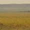 Rolling Prairie Hills From Saskatchewan Looking South Into Montana At West Poplar SK Aug '13