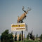 Hanson Buck