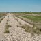 Abandoned rail bed and siding at Ferland, SK.  CP Wood Mountain Sub