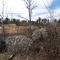 Little Falls Park