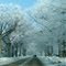 Frosted Street