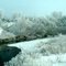 Frosted River