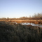 Lobstick River in the Fall