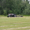 Farmer's Field