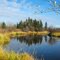 Fall on the Lobstick River
