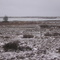 Early November frozen scene