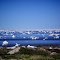 Looking at Hudson Bay