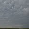 Mamatus