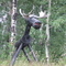 Saskatchewan Moose