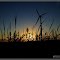 Wind Farm in Altona Manitoba