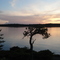 Sunset on Middle Island LOTW in June