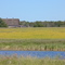 Canola and barn
