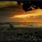 Beach at sunset in Hawaii