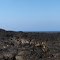 Pāhoehoe