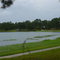 The Funiak Springs