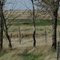 Farm Yard - 2007