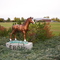 Ebon Stables