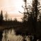 Late autumn in the Whiteshell Park of eastern Manitoba