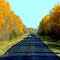 Autumn at Highway 313, Manitoba