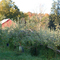 Wratten's Orchard