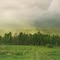 Pollen Storm 1(1999)