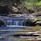Button Creek