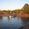 Dave's Island