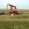 There's oil under those fields!