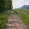 Walking path along Highway 222(Old Railway line) 2010