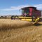 Harvesting