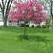 Springtime!