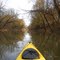 Tiffin River