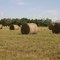 Hay bales in Field